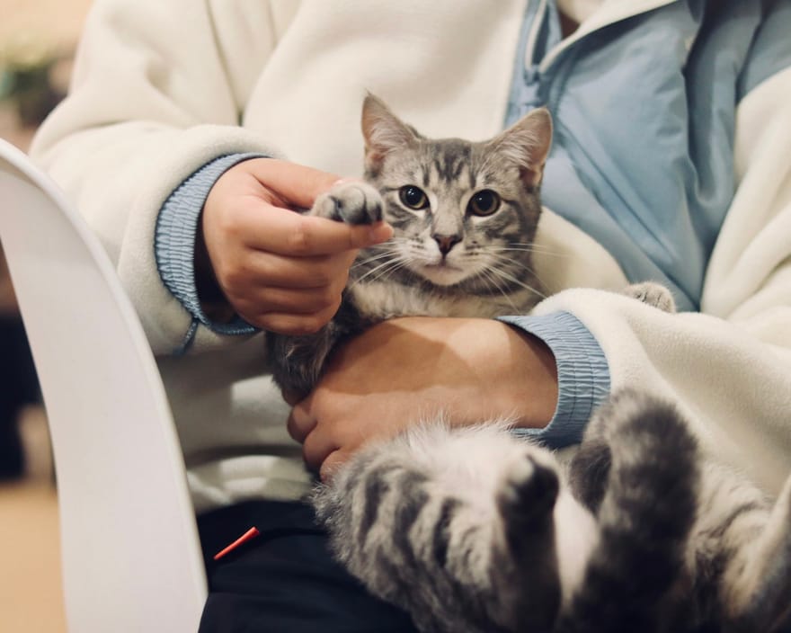 A calm clinical care moment — a hand gently resting on a patient