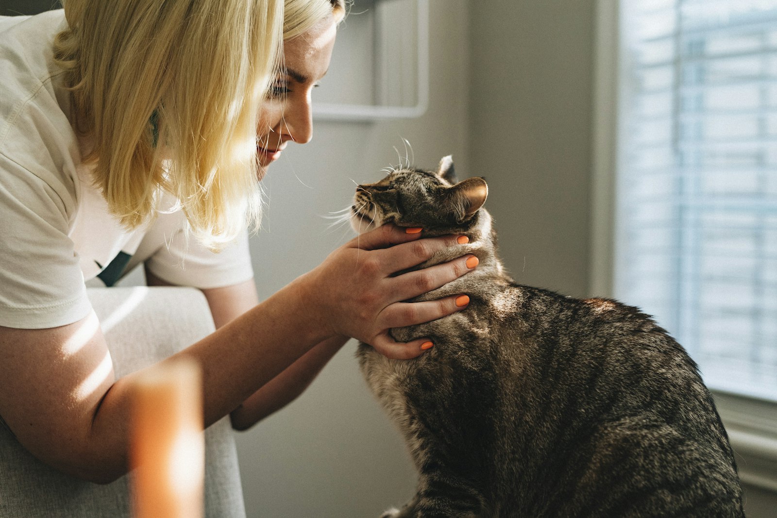For pet owners